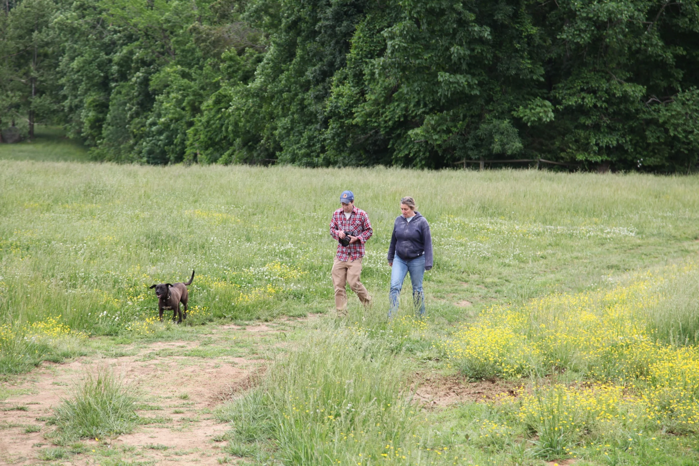Ross, co-founder of Left Bank Butchery, and Eliza MacLean, walk through a pasture at Eliza's Cane Creek Farm.