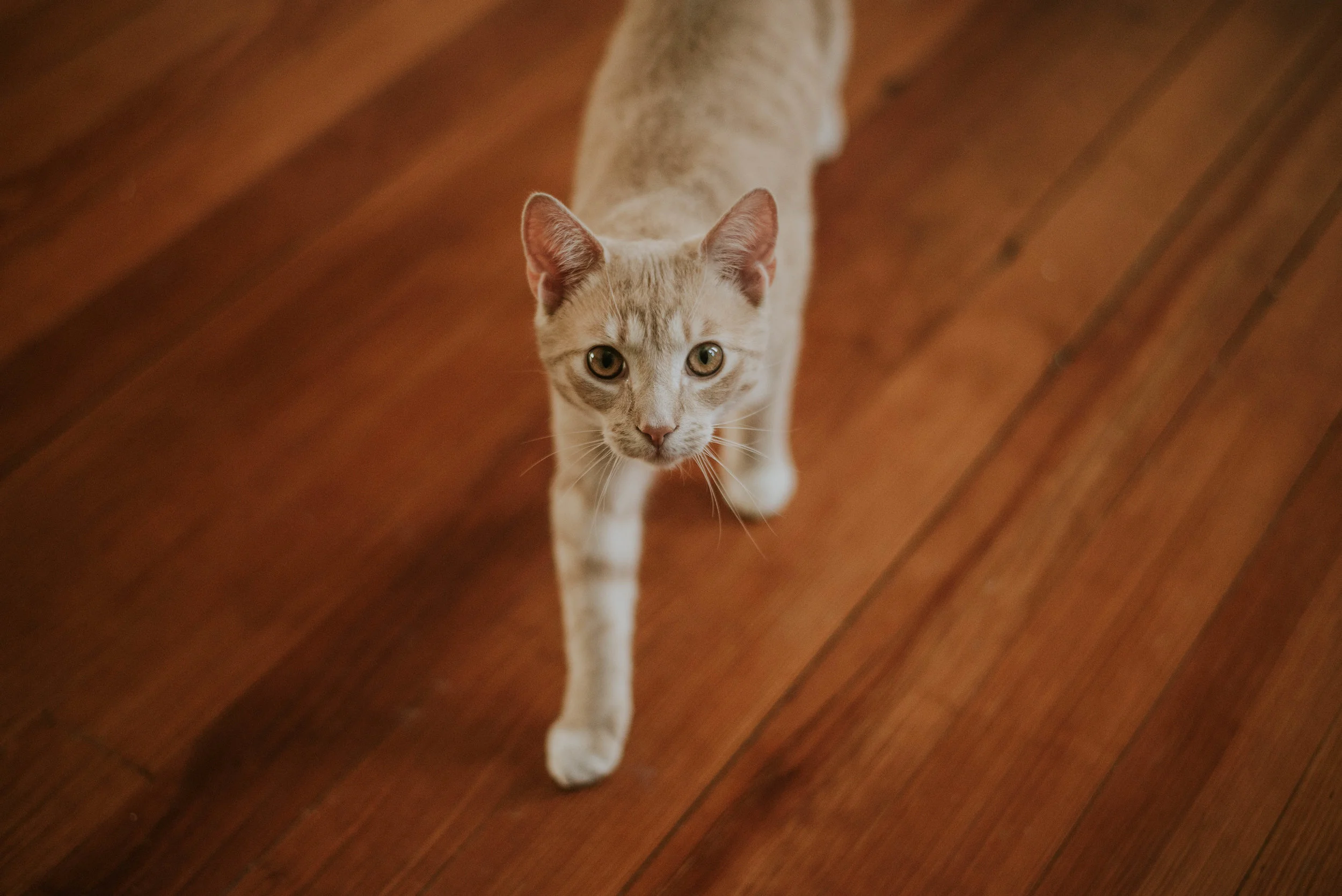 DSC_5710.jpg