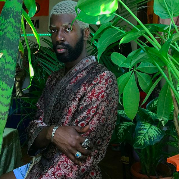 Why you Need a Snake Plant, Explained by DJ Freedem