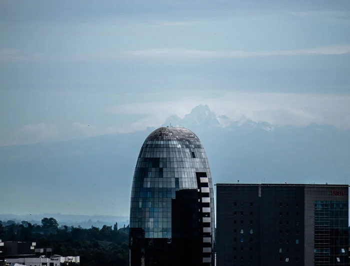 It's True, The World Is Healing While We Stay at Home