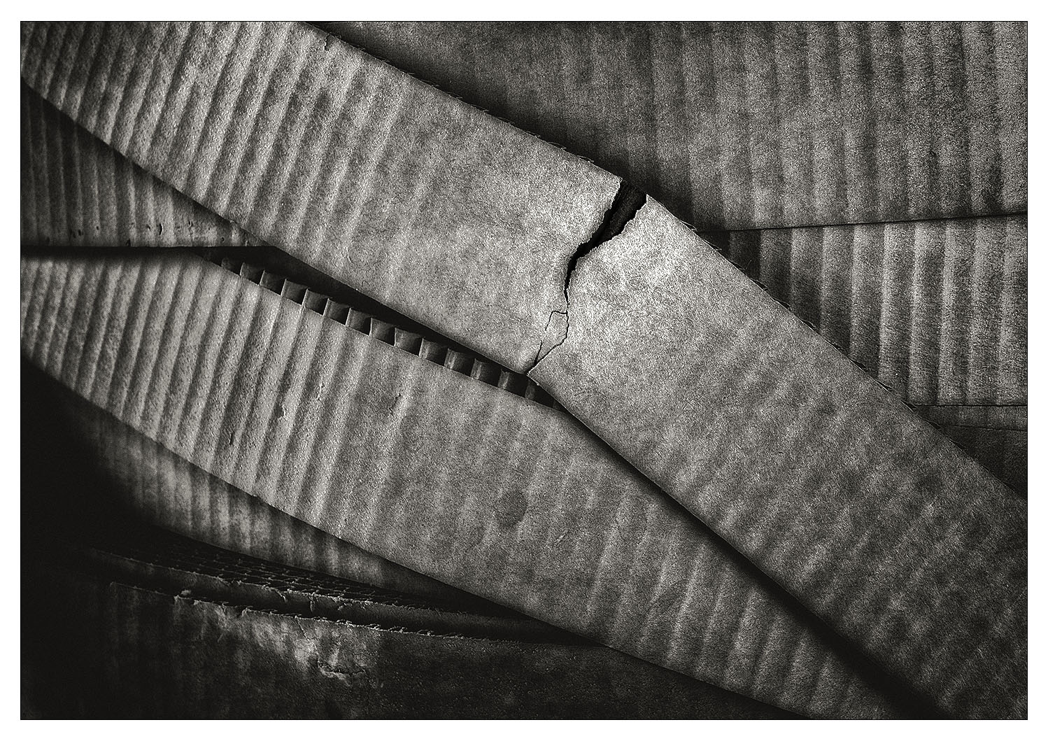 Cardboard Strips