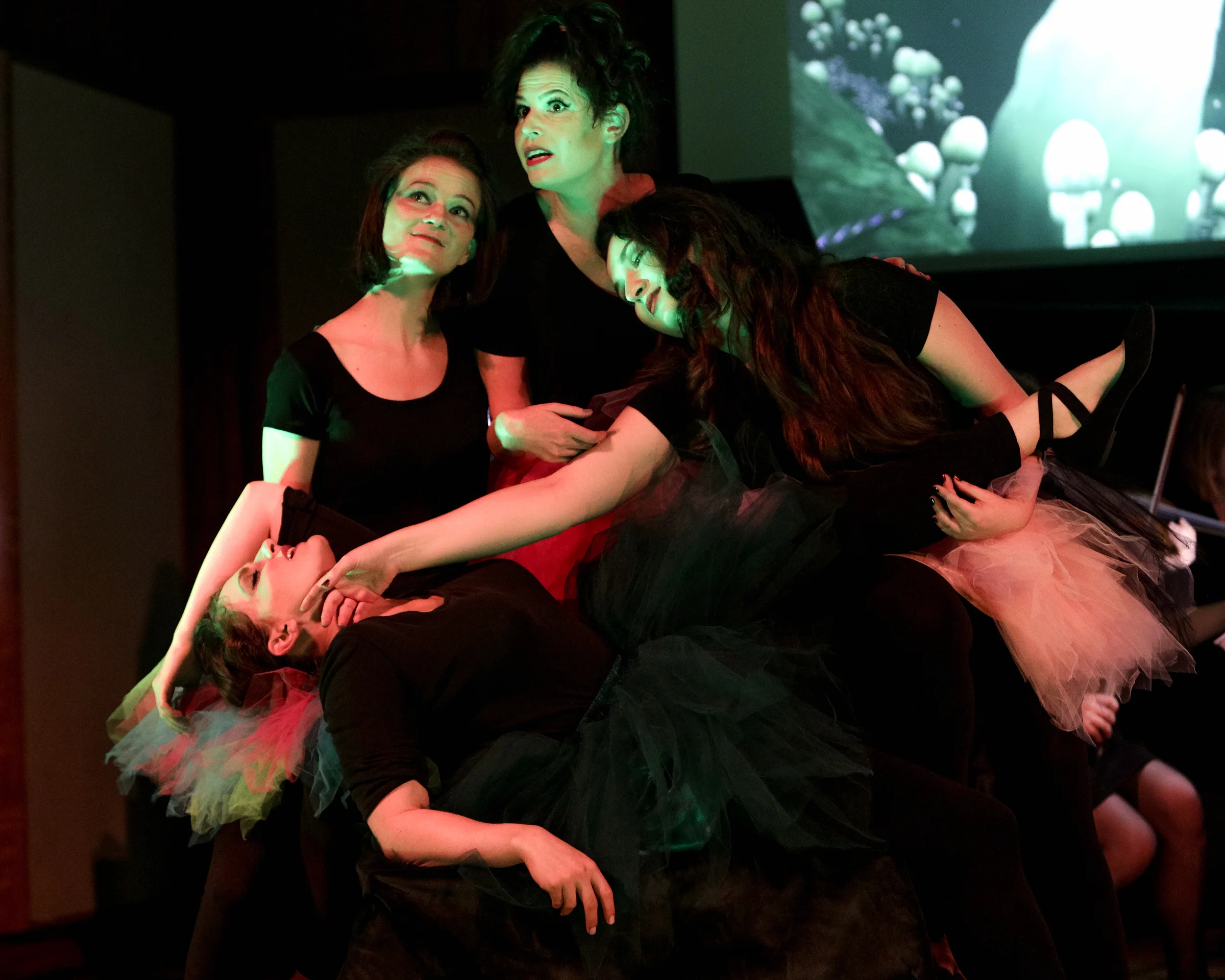 Ann performing in Boston Opera Collaborative’s Opera Bites , as Mustardseed in Scott Wheeler’s Midsummer . Photo Credit: Dan Busler.