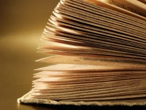 pages of a book.jpg