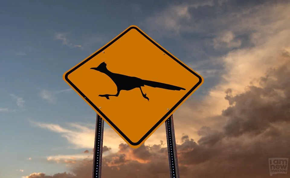 roadrunnercrossing.jpg