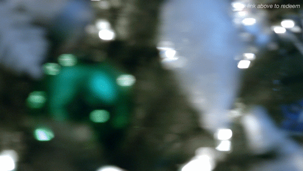 ornament_final.gif
