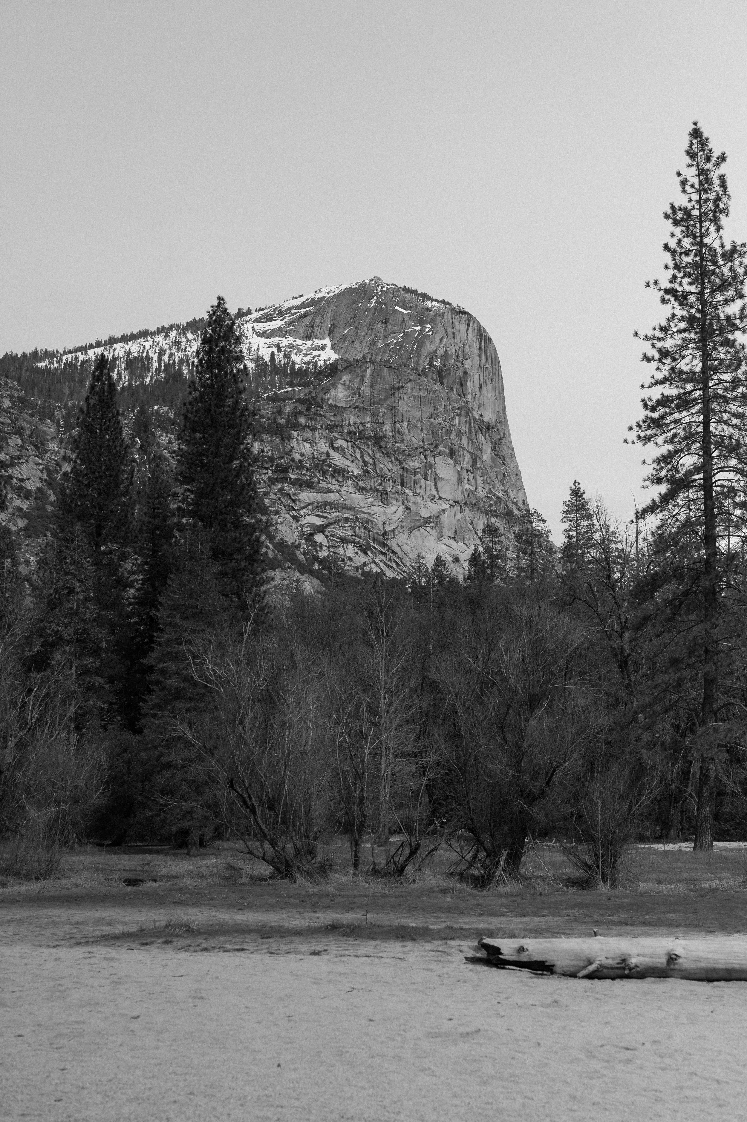 DSC_2473.jpg