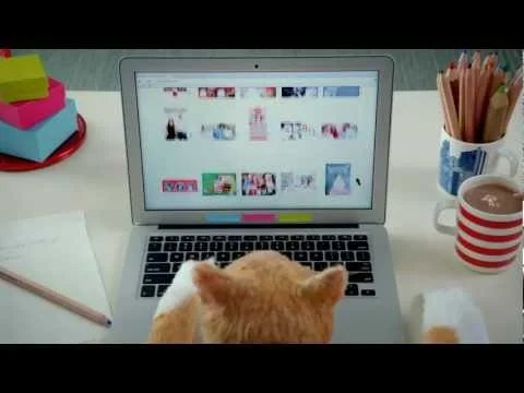 Cardstore.com Cat 