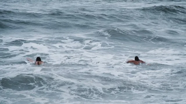 Seeds of Change Video