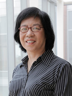 Linda Lim Professor of Corporate Strategy and International Business, Stephen M. Ross School of Business