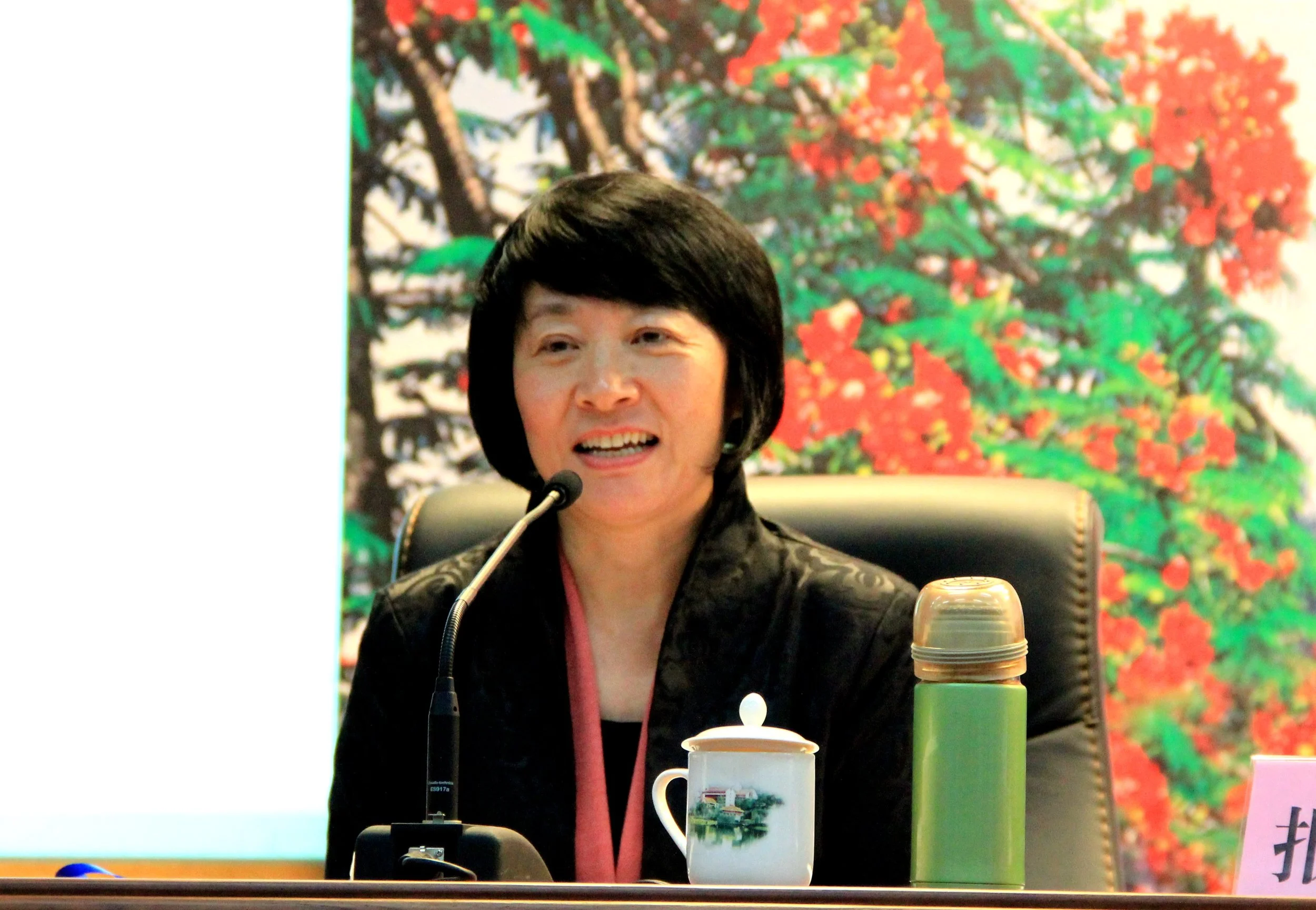 Professor Wang giving the keynote speech at a feminist conference in China