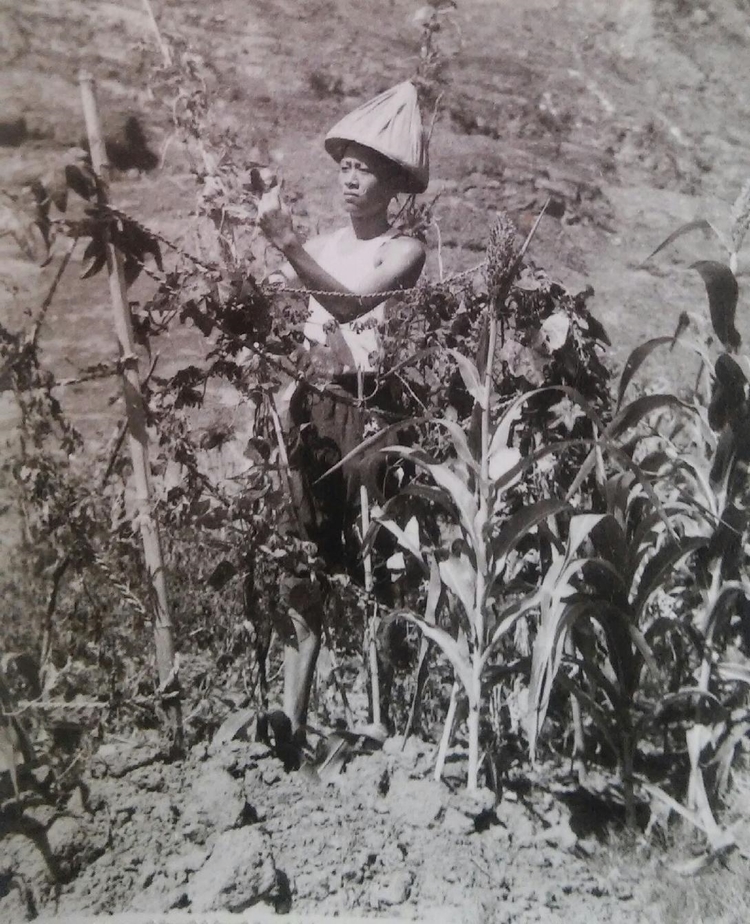 Chen Laoshi was living in a remote area in Jiangxi Province for re-education, 1969