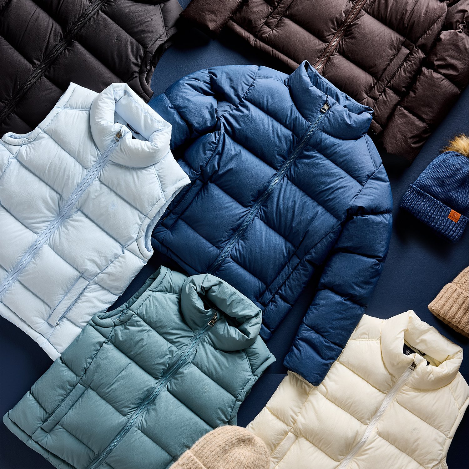 Puffer_Gif_1 copy.jpg