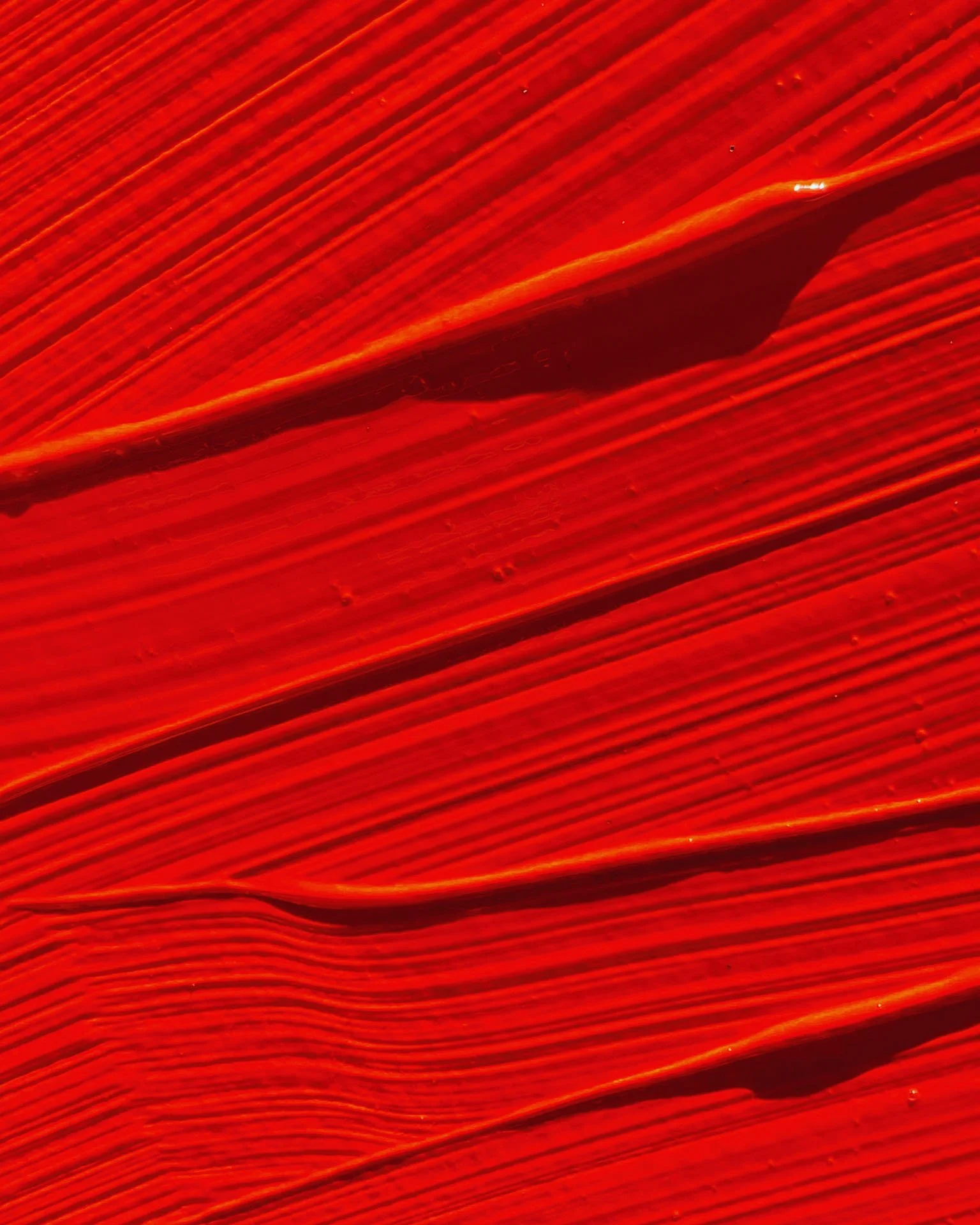 5B56574D-0ABD-48F7-B925-472C62C588C2.jpeg