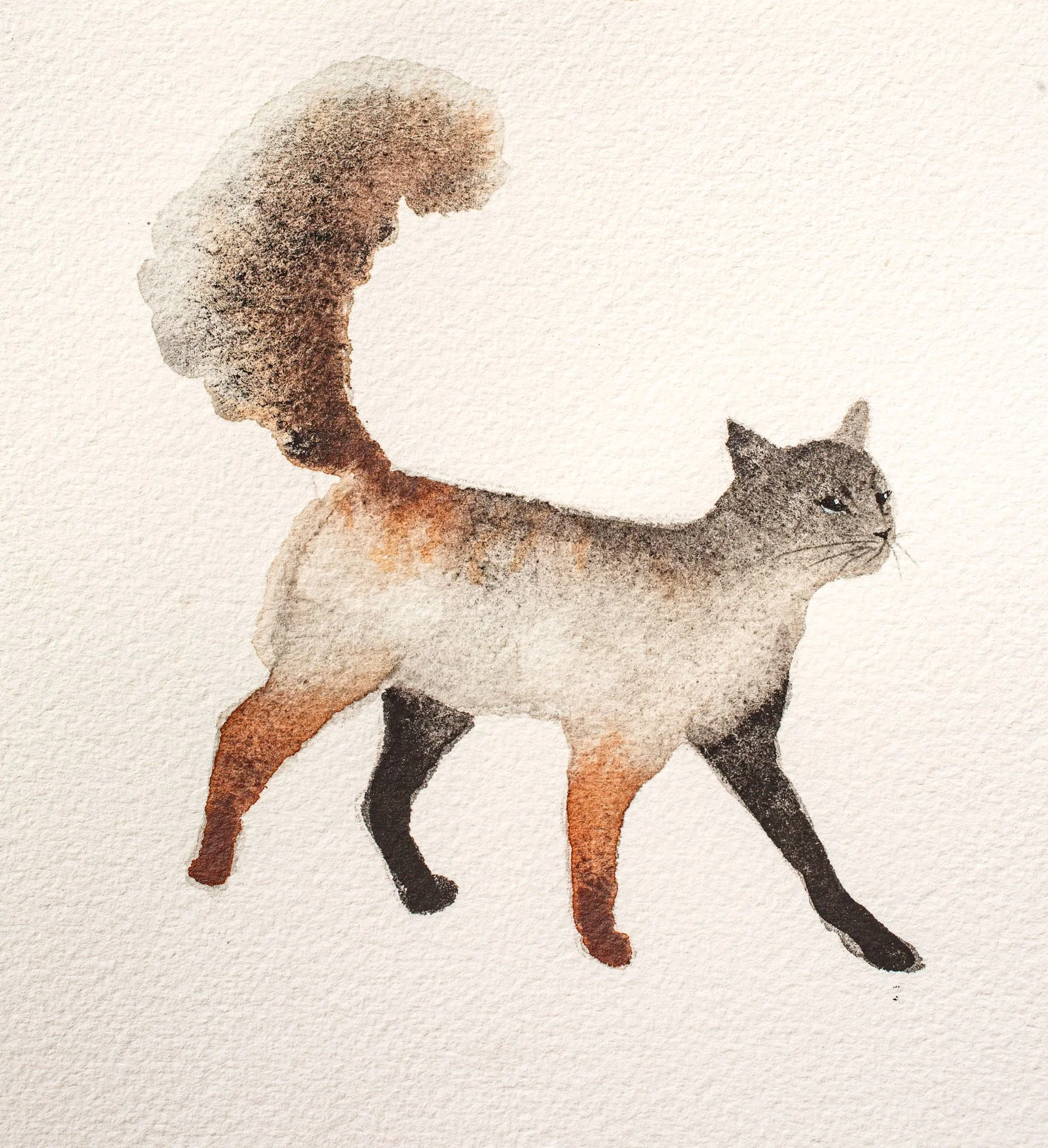 Early_July_Paintings_967.jpeg