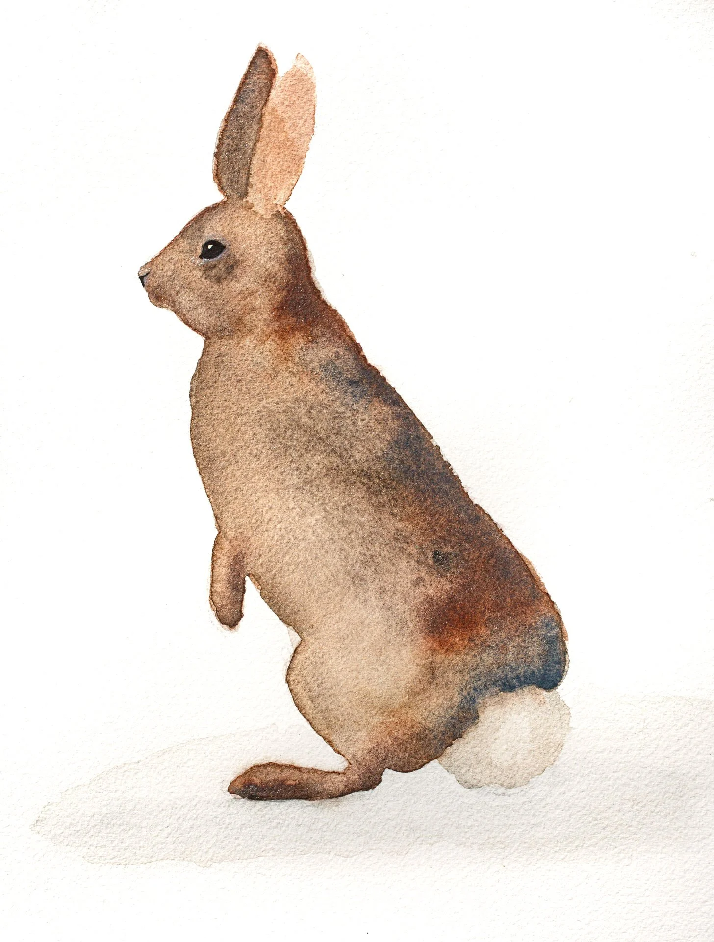 Early_July_Paintings_979.jpeg