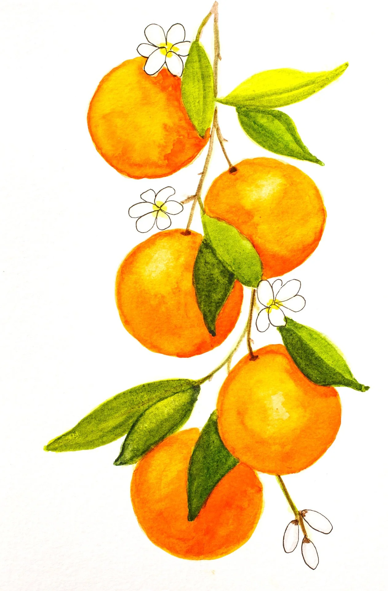 Early_July_Paintings_957.jpeg
