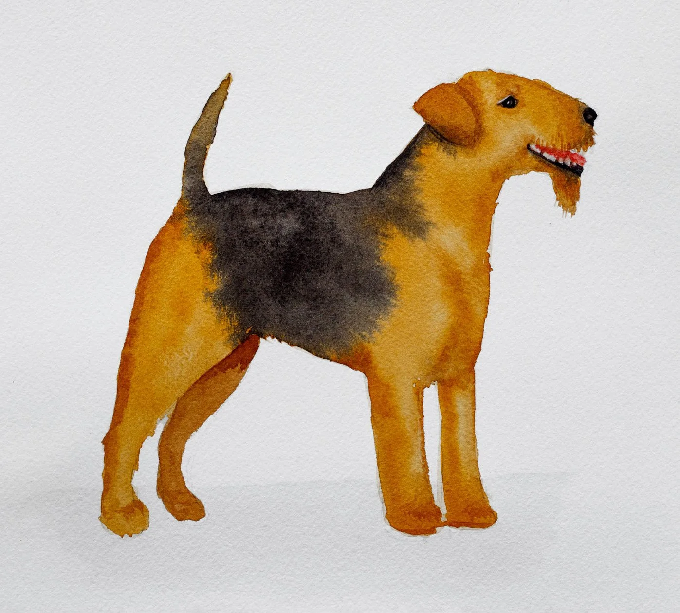 LateFall21_Watercolors_2710.jpeg