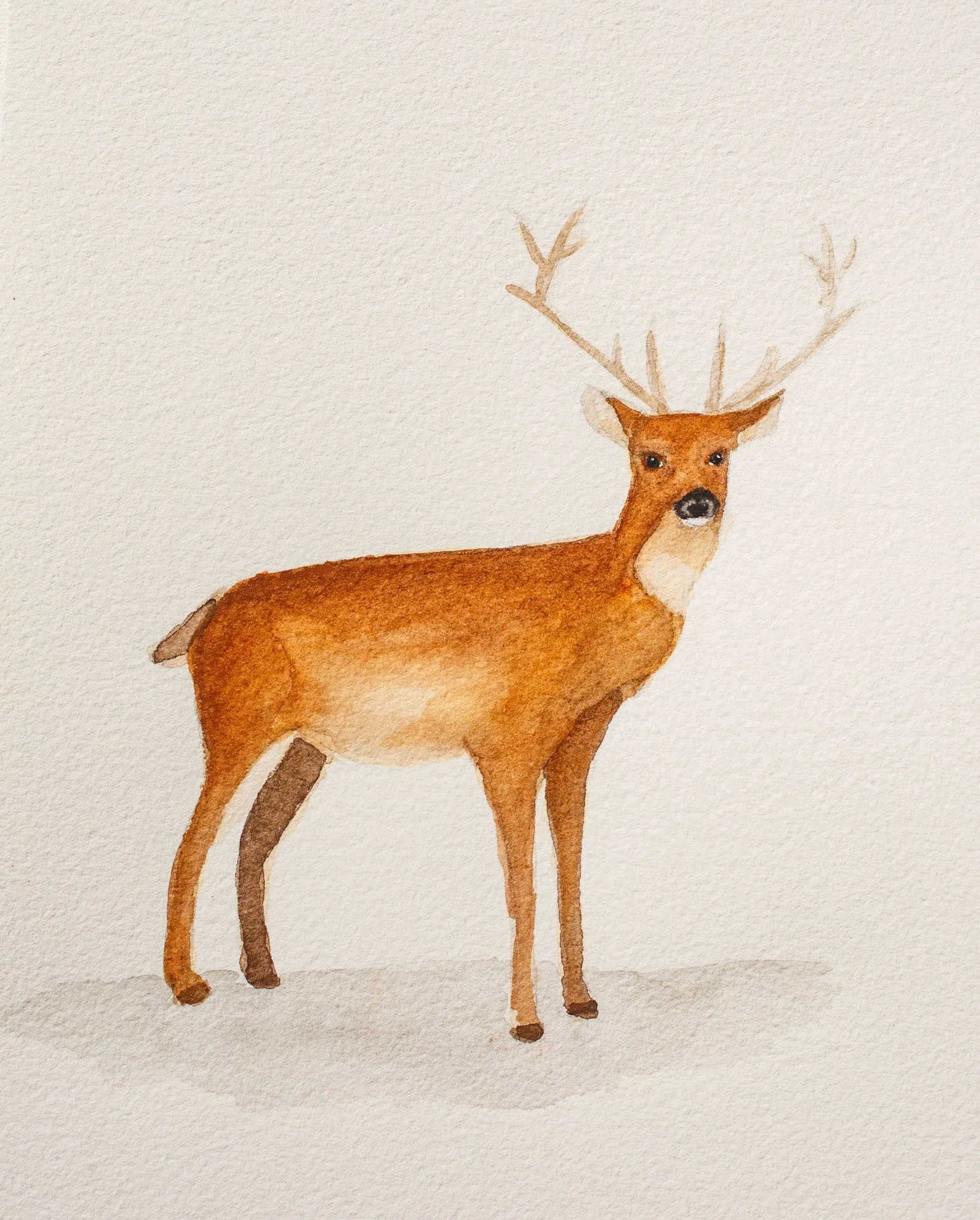 Early_July_Paintings_951.jpeg