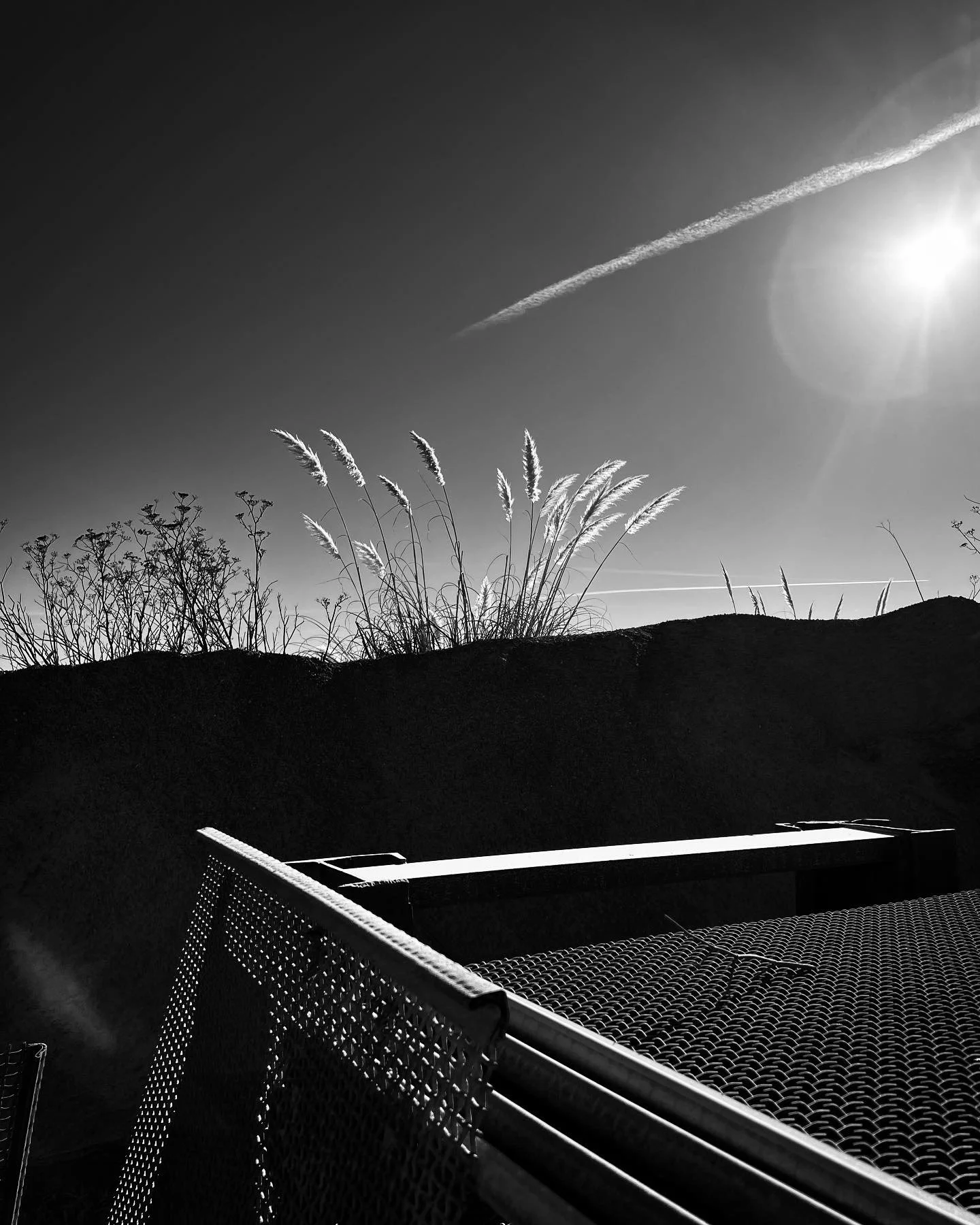 923A27E1-5CEA-46F6-811B-B9F79C35E771.jpeg