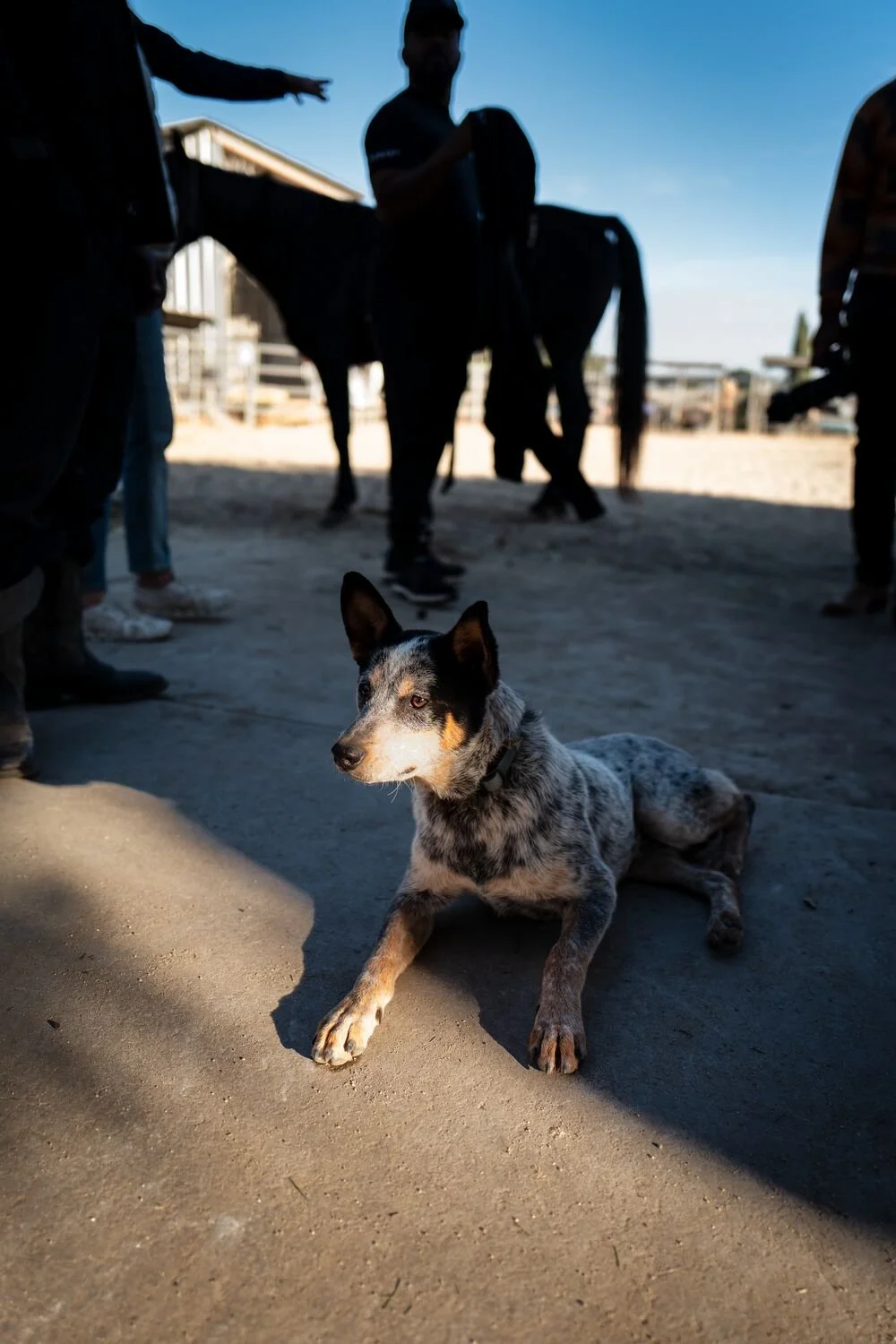 Small JPG-S22_MNS_WEST_CC_Copenhaver_1004.jpg