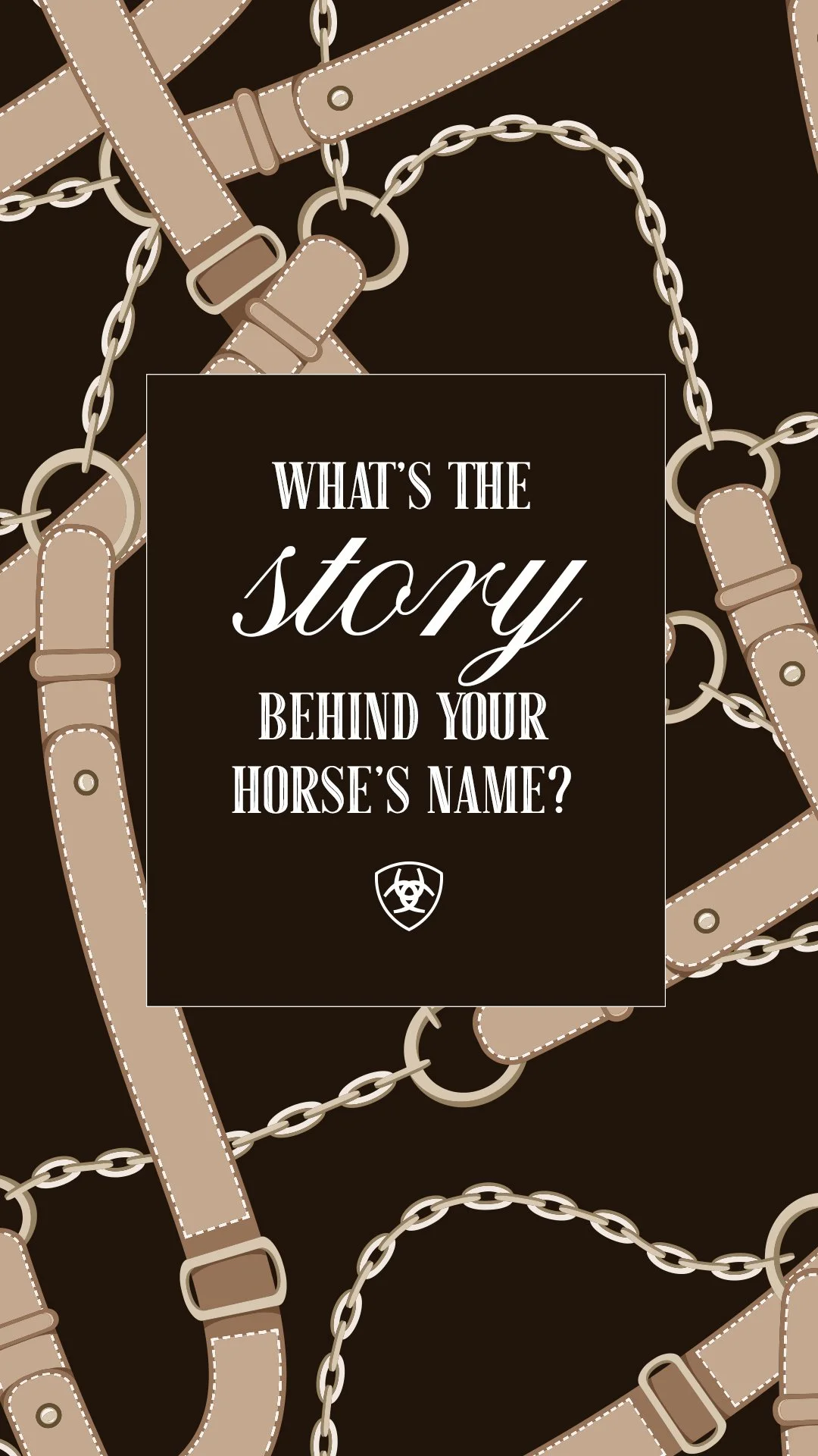 05472 Equestrian Social Questions IGS 6.jpg