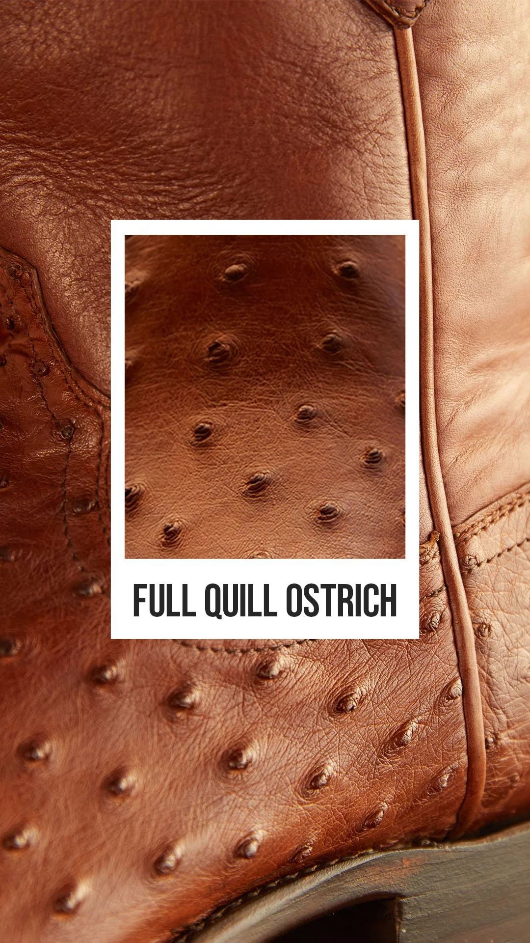 05410_BenchMade_IG_Highlight_10_Leathers Ostrich.jpg