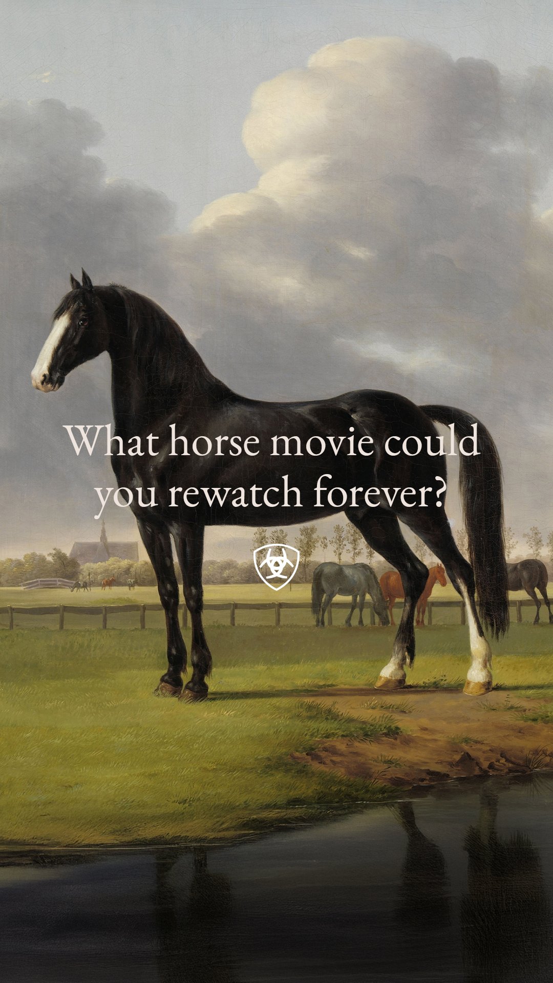 05472 Equestrian Social Questions IGS 5.jpg