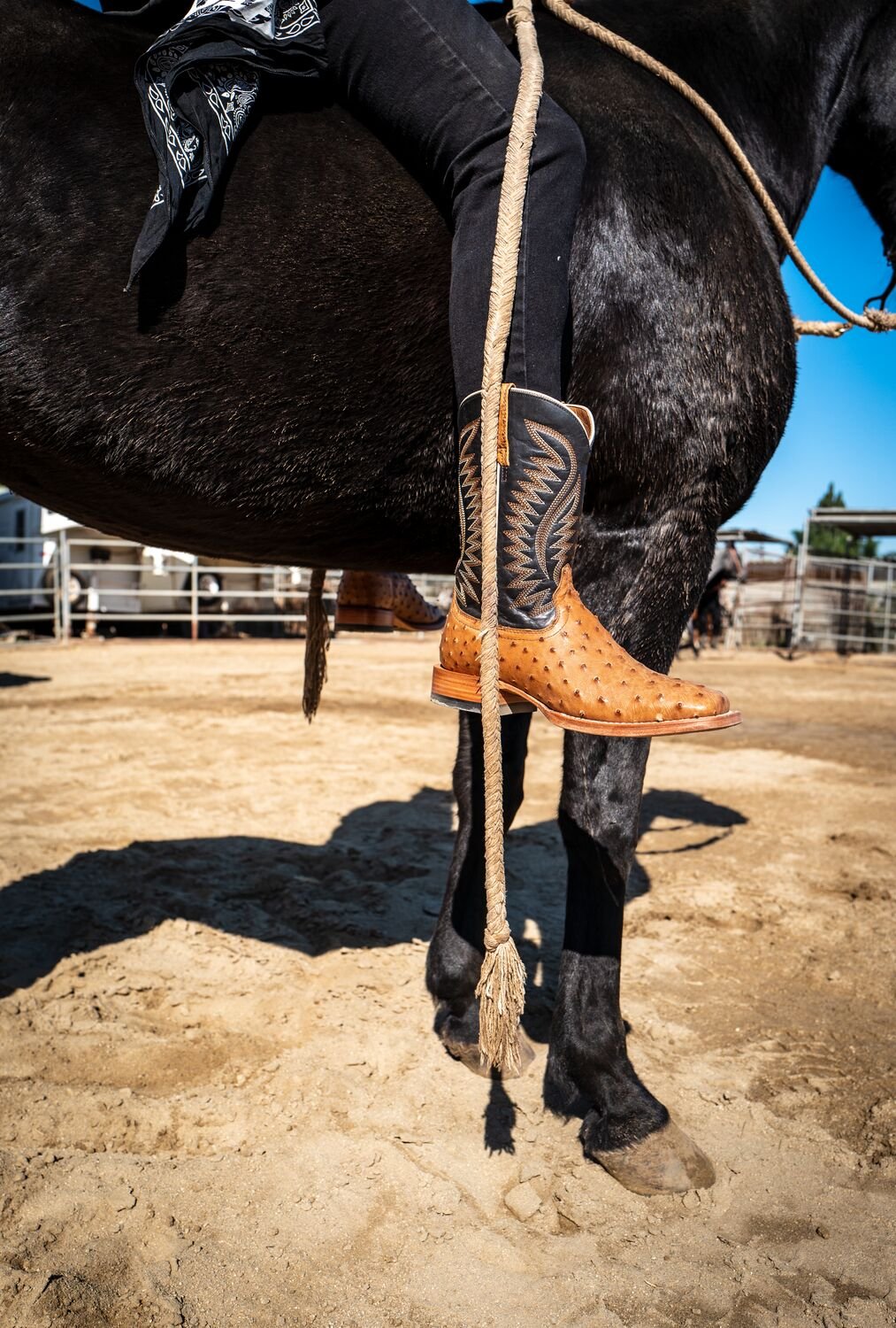 Small JPG-S22_MNS_WEST_CC_Copenhaver_0350.jpg