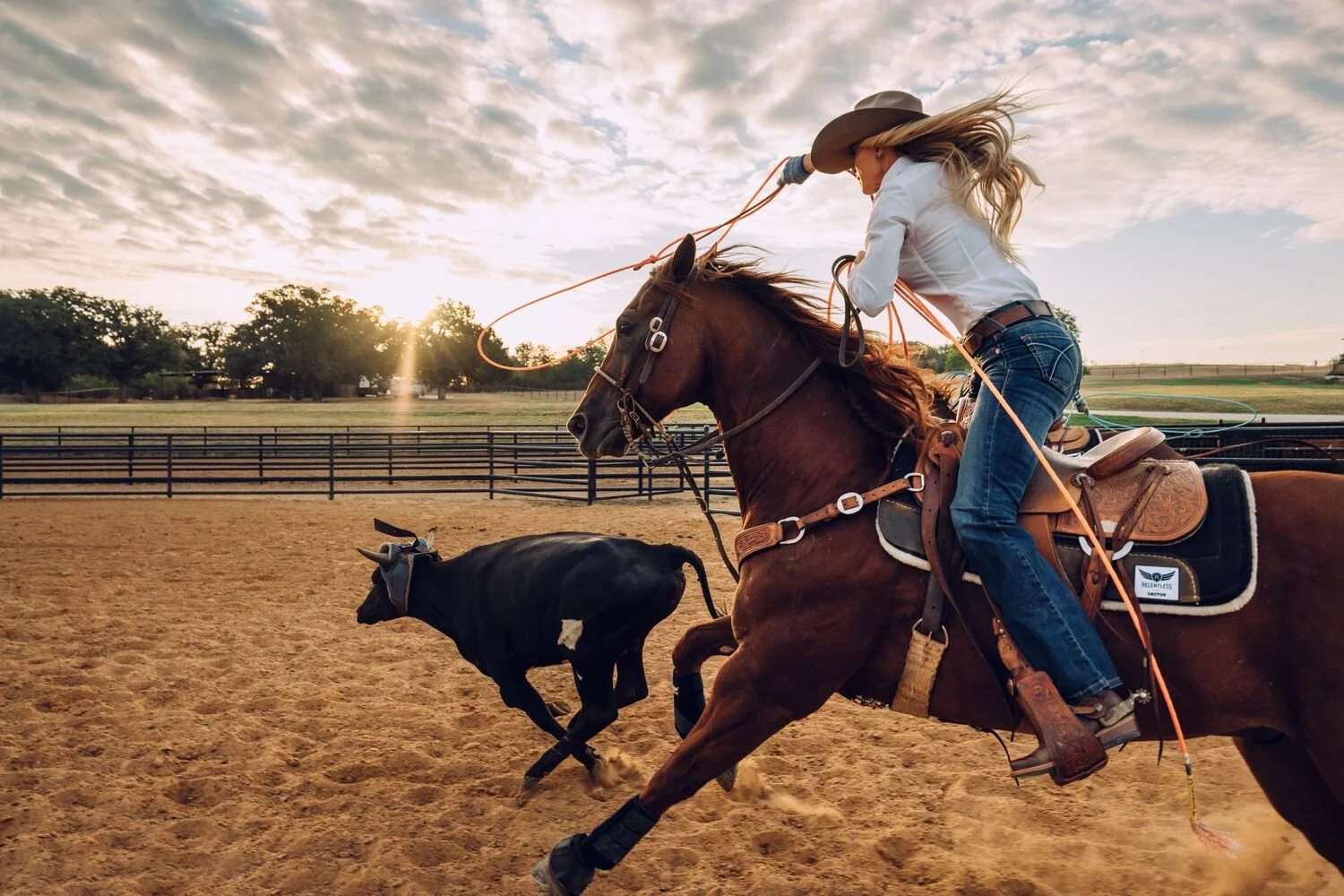 Small JPG-S24_GRP_WEST_WillSaunders_WYRTexas_Shot2_1A_004025.jpg