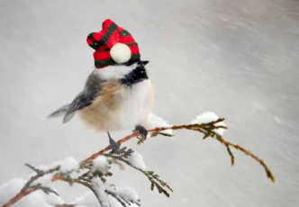 New Year's Resolutions I'd Like to See Canada Adopt