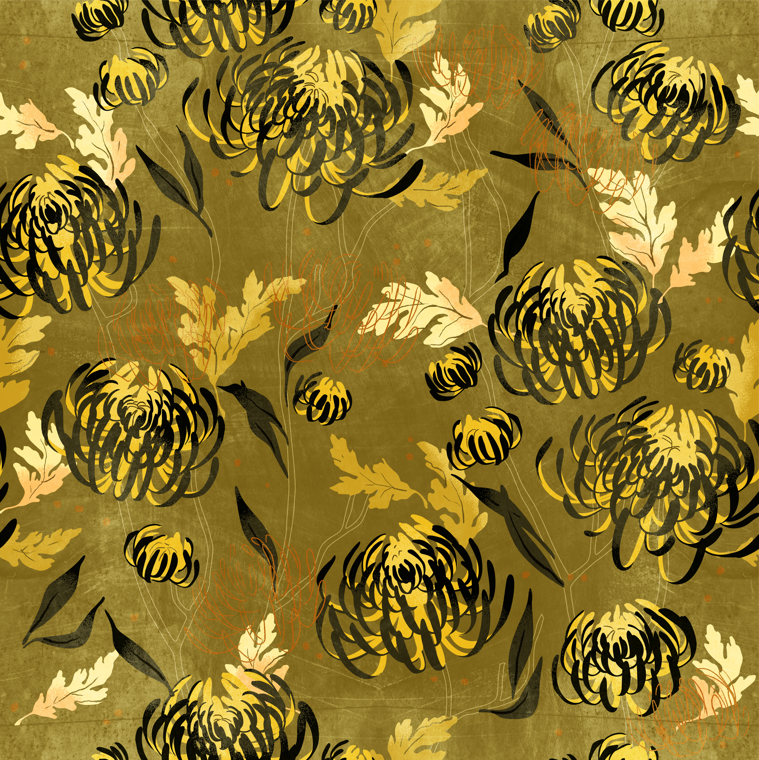Chrysanthemum_lindsaynohl_fullsize_cropped.jpg