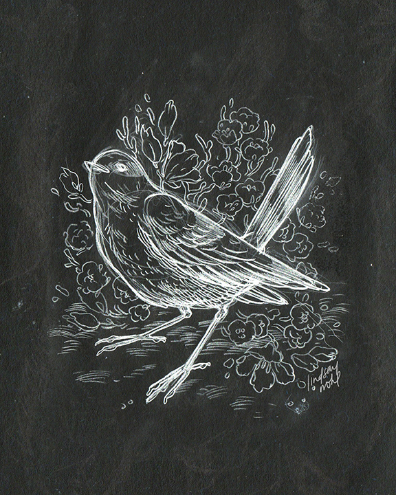 BirdSketch_LindsayNohl_chalk_72.jpg