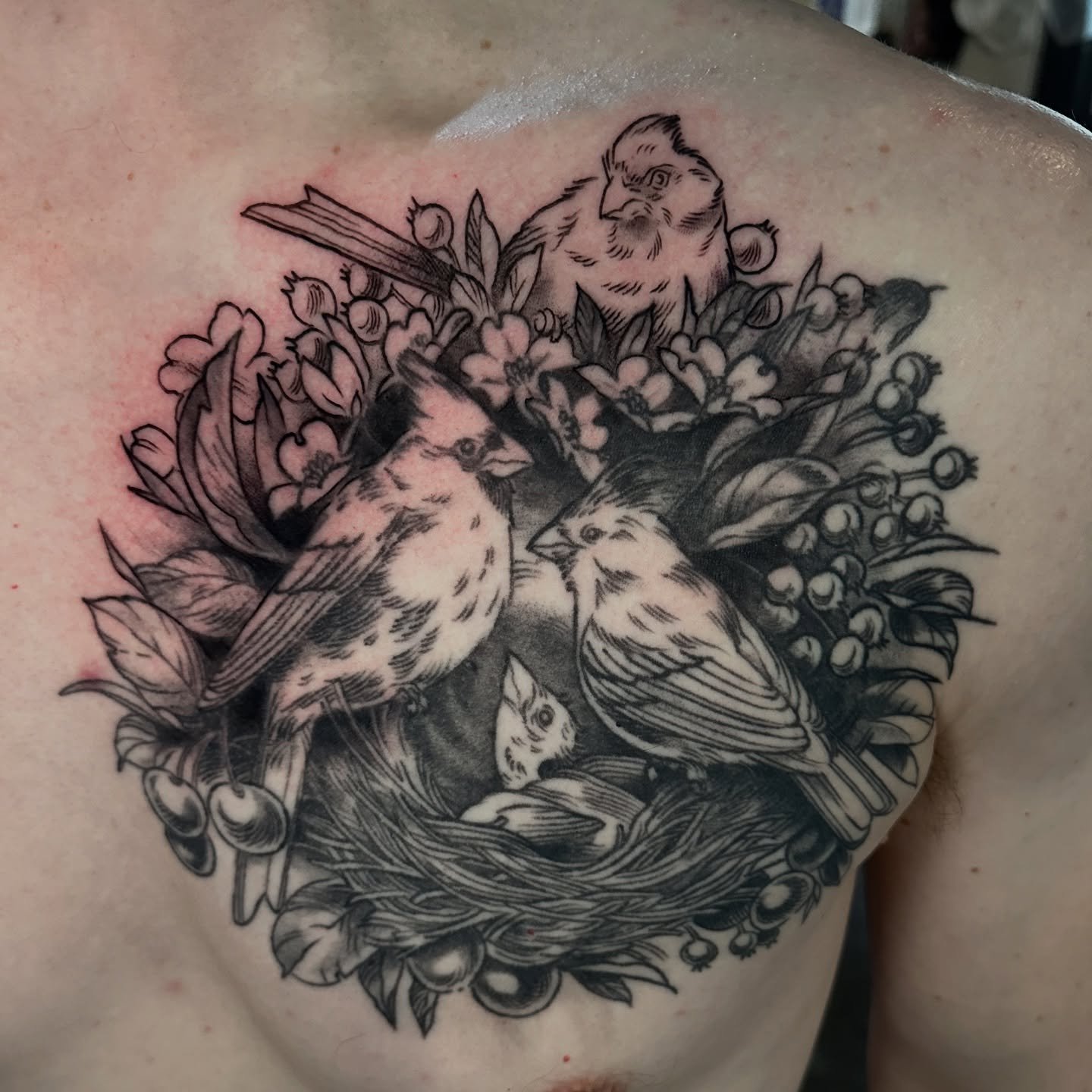 Added another cardinal to Jesse&rsquo;s lil bird family today! Most of this is healed a couple years, with the new piece on the top! Thanks again Jesse for working with me again!
.
#minneapolistattoo #minneapolistattooartist #mntattoo #mntattooers #m