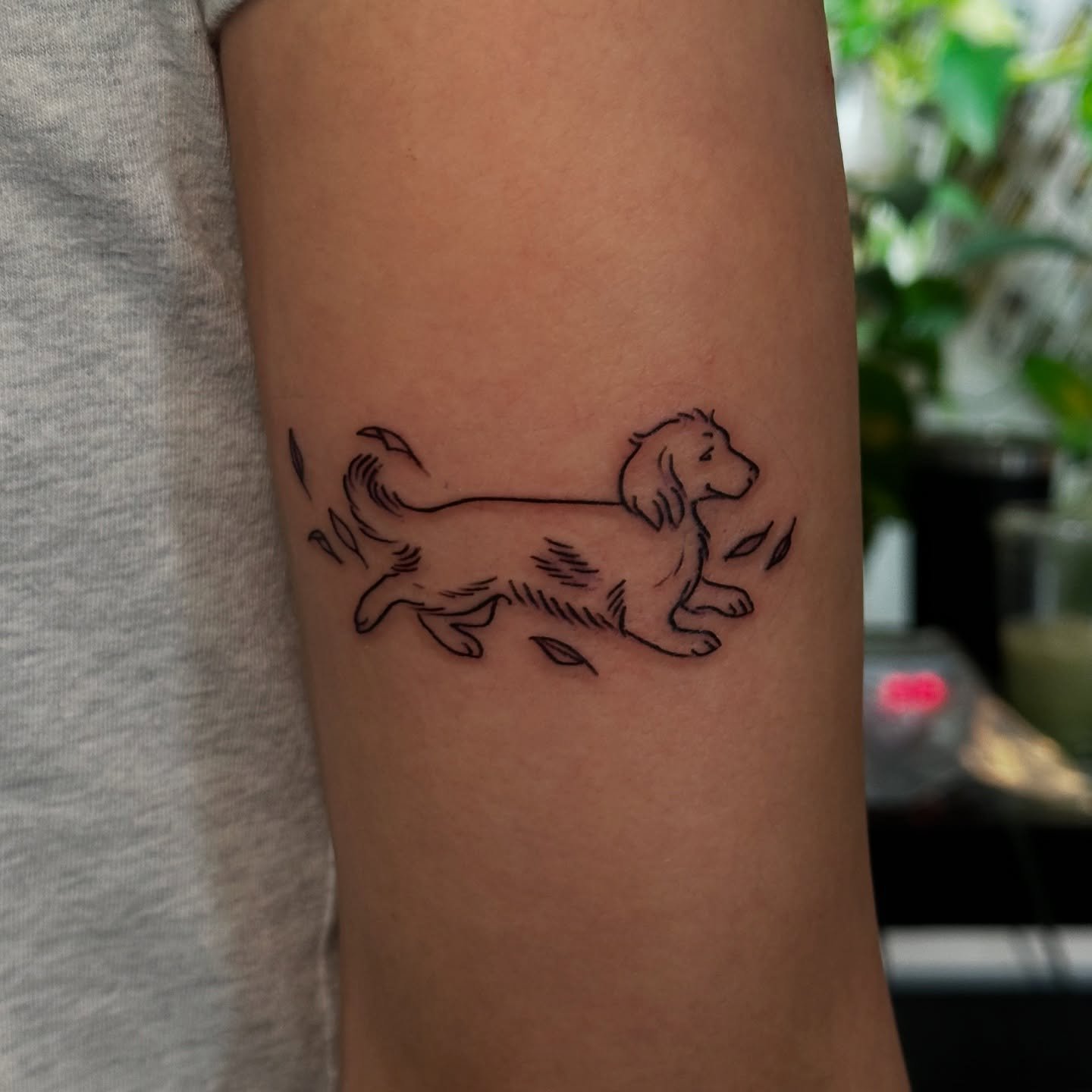 Thank you, Eliana, for letting me memorialize your very special pup! It was so good to see you again! 🍃
.
#mntattoo #mntattooers #minneapolistattoo #minneapolistattooartist #minneapolistattooer #dogtattoo #petportraittattoo