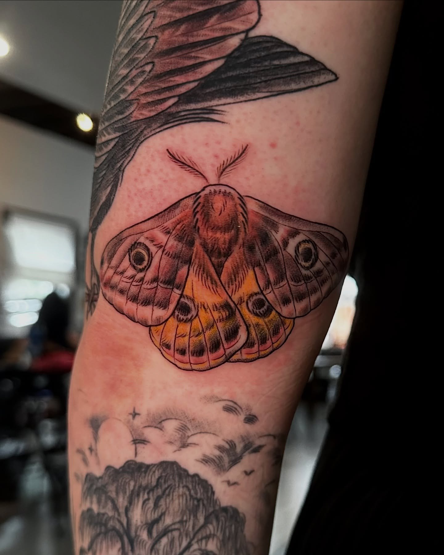 An Emperor moth for Kelsey! You can see a little peek of the other tattoos we did in the video! A willow from about a year ago, and a crow above that we finished in the same session. Thanks Kelsey!!
.
#mntattoo #mntattooartist #mntattooers #minneapol