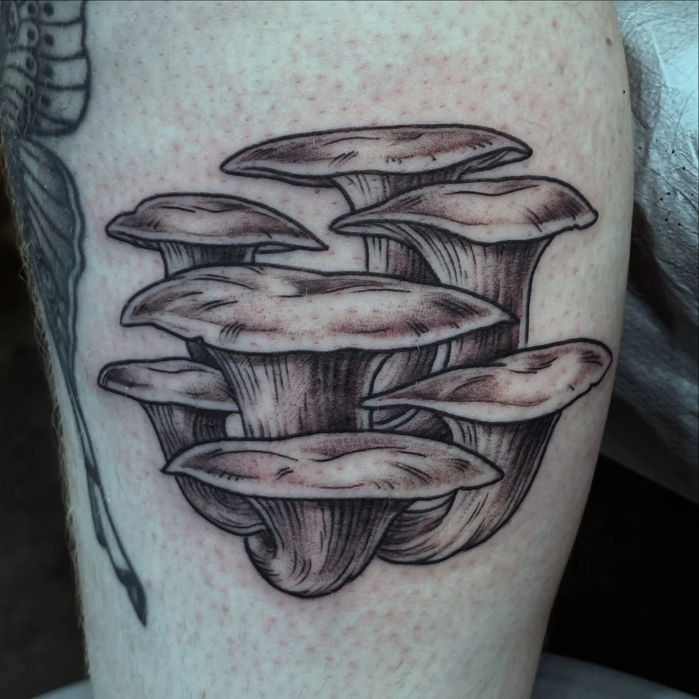 Thank you Xanthe, for finding me @madisontattoofestival and getting these gorgeous golden oysters! I need more mushrooms in my life! So great meeting you!
.
#mntattoo #mntattooers #mntattooartist #midwesttattoo #midwesttattooartist #minneapolistattoo