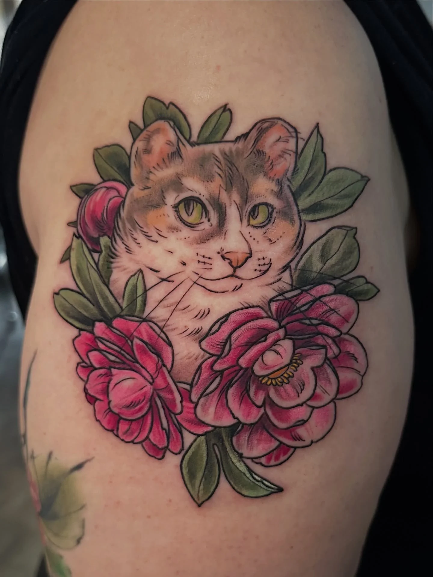 I got to do a very special portrait of Bean yesterday for Mary! Thank you so much for working with me on making this sweet portrait of her!!
.
This was a customized portrait from my create-a-cat flash, where you can choose the background, the profile