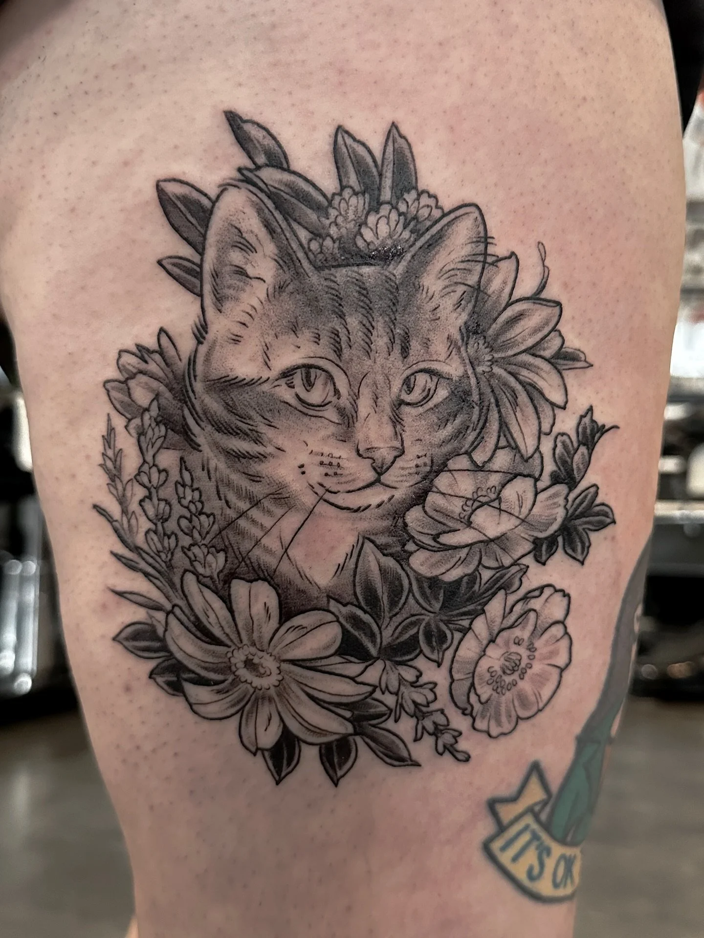 A cutie portrait of Chandler the tabby for Allison! This is from the create-a-cat flash that’s up on my site at the moment, where you can pick and choose your favorite cat pose, background, colors, and if you want to include a paw, and then tra