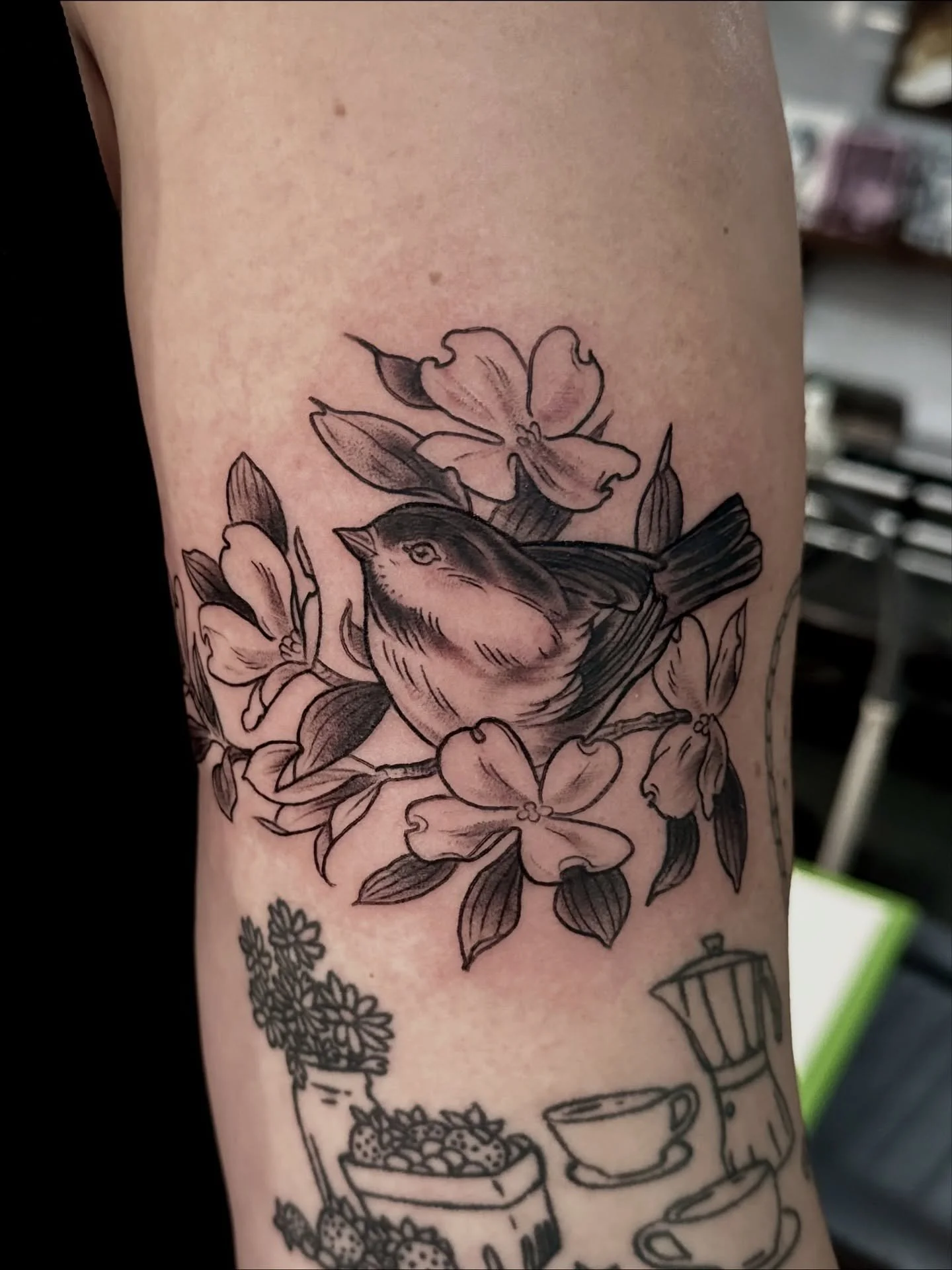 Little chickadee from my flash for Stephanie! Thank you so much! 
#mntattoo #mntattooers #mntattooartist #minneapolistattoo #minneapolistattooartist #minneapolistattooer #midwesttattooartist #midwesttattooer