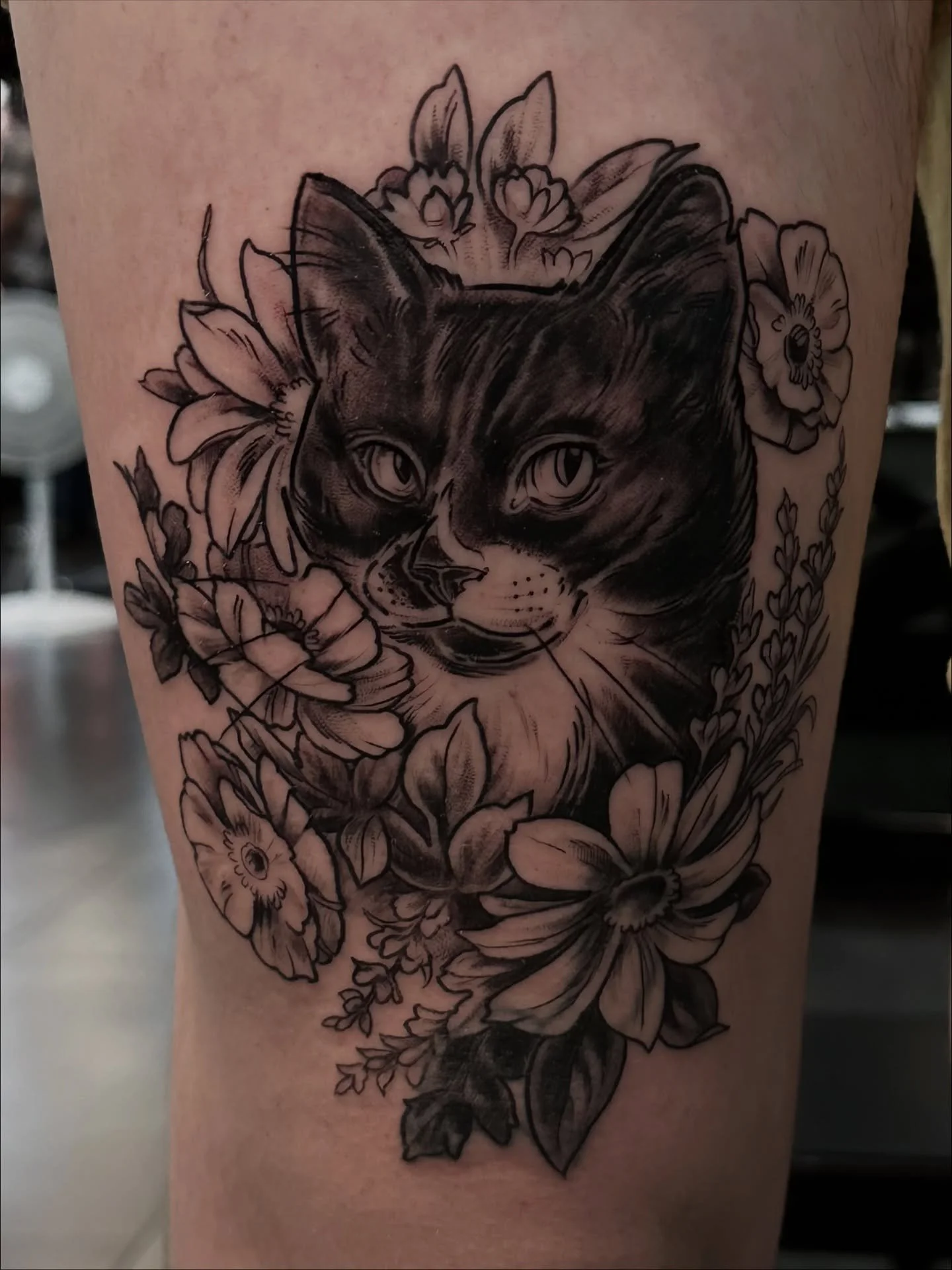 Thank you Graham!! I loved making this tribute to Twilight (Twi). What a wonderful tuxedo man he is!! ❤️
This was part of my create-a-cat flash where you get to choose the cat silhouette, background and color/black and grey and then we customize it t