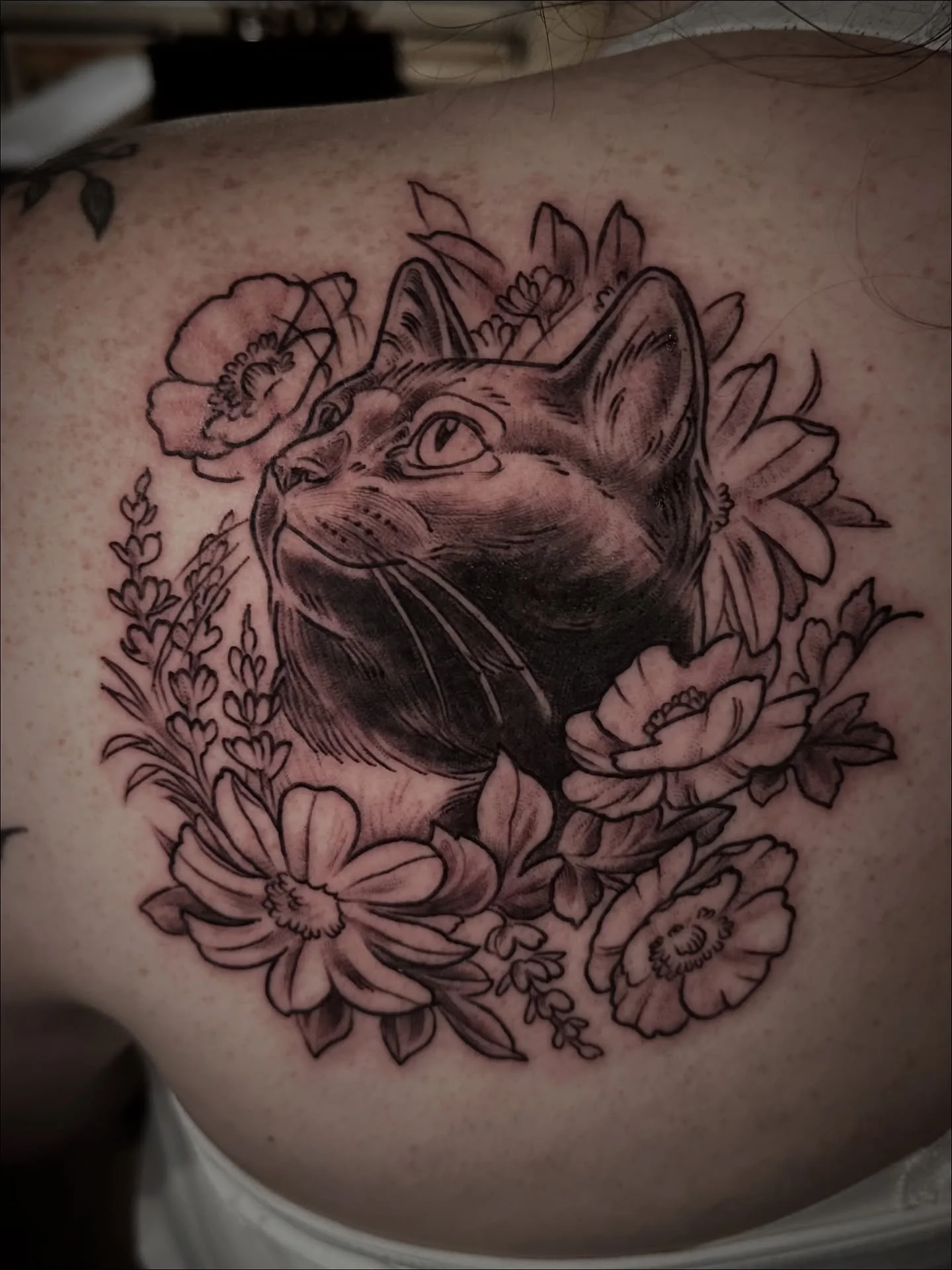 Here is a cutie tribute to Birdie! Thanks so much Marie!! She looks fabulous!
.
#mntattooers #mntattooartist #mntattoo #midwesttattooartist #minneapolistattooartist #cattattoos