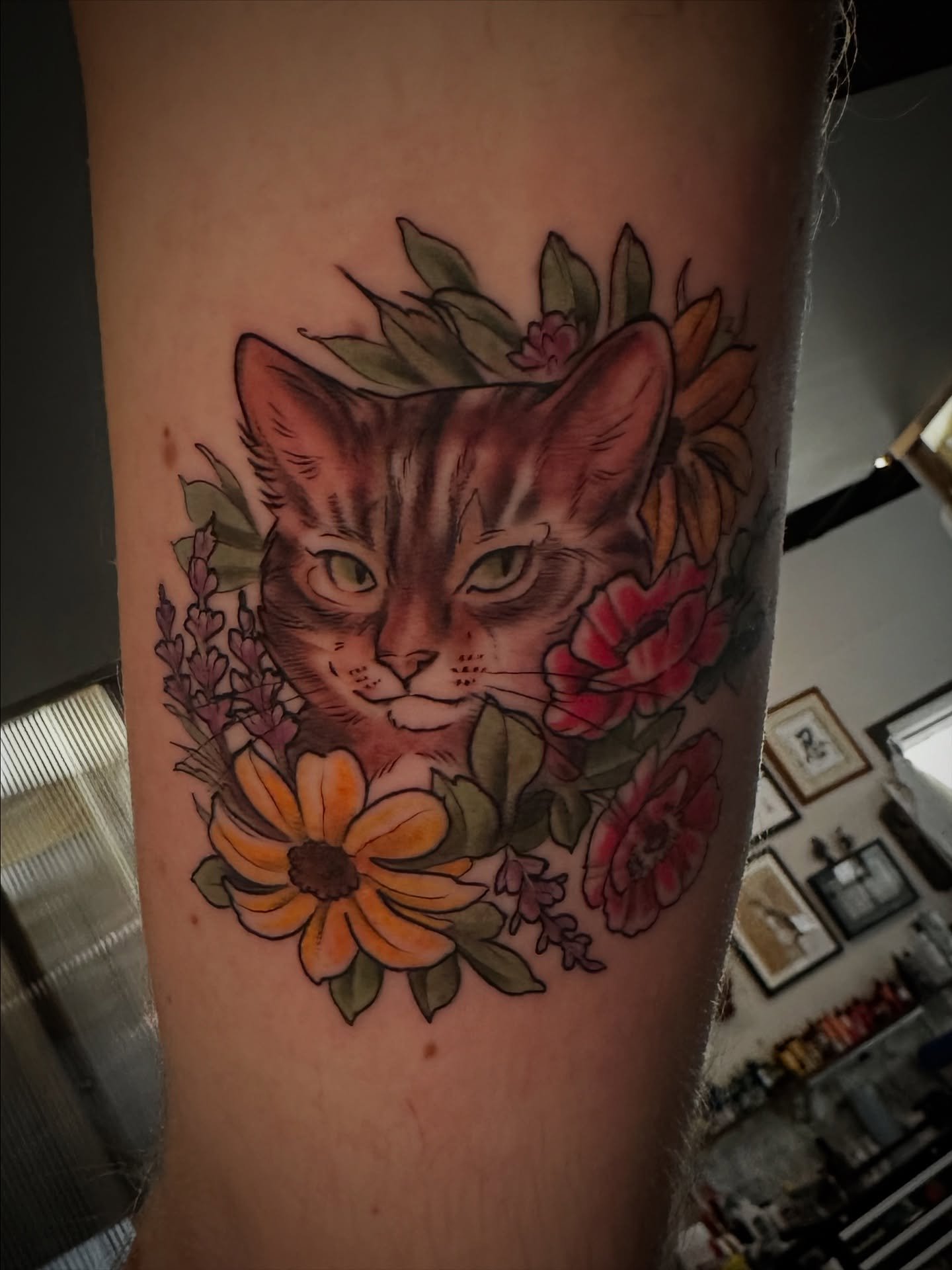 Look at beautiful little Hazelnut! Thank you Aaron, for getting this amazing tribute to your baby!! 🥹
.
#minneapolistattoo #minneapolistattooartist #midwesttattooartist #twincitiestattooartist #cattattoos