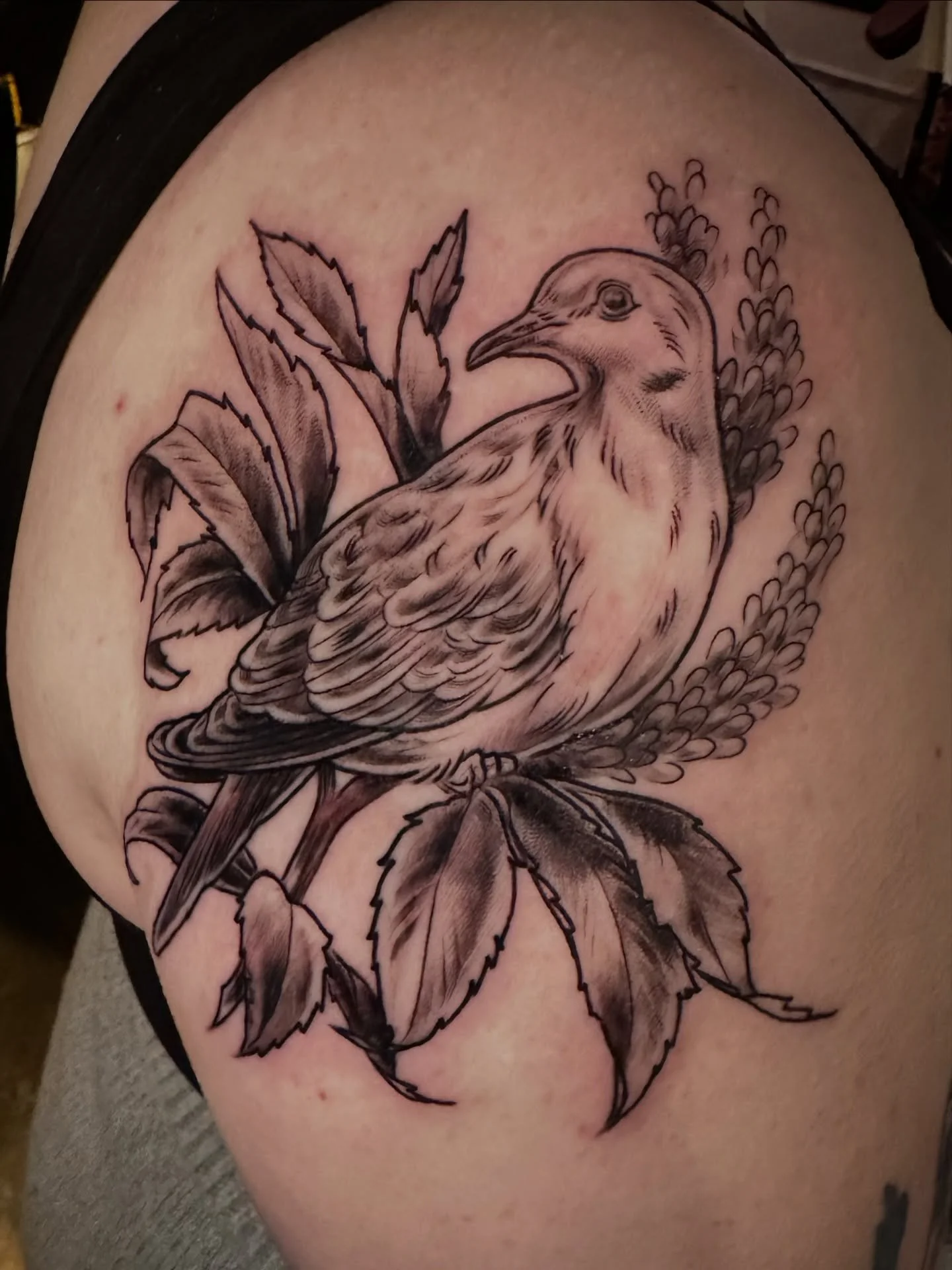 Thank you Sophie! This is a mourning dove from my Midwest Birds flash! I love how this one turned out! Thanks again!
.
#midwesttattooers #midwesttattooartist #minneapolistattooartist #minnesotatattooartist #birdtattoos