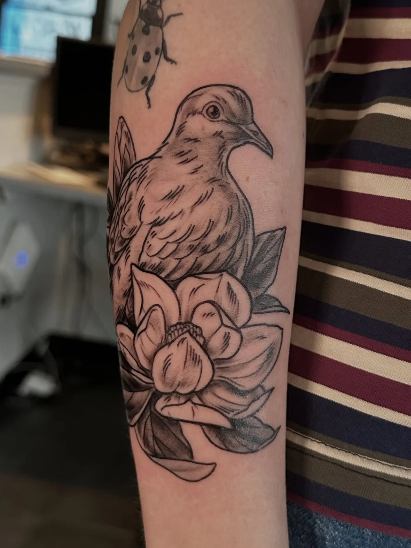 I made a beautiful little mourning dove nestled in the magnolias for Zoe! Flip for the video of the whole wrap-around!
.
#mntattooartist #minneapolistattooartist #midwesttattooer