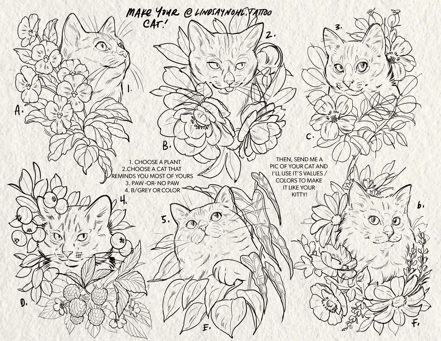 CustomCatFlash_2025_LindsayNohl_web.gif