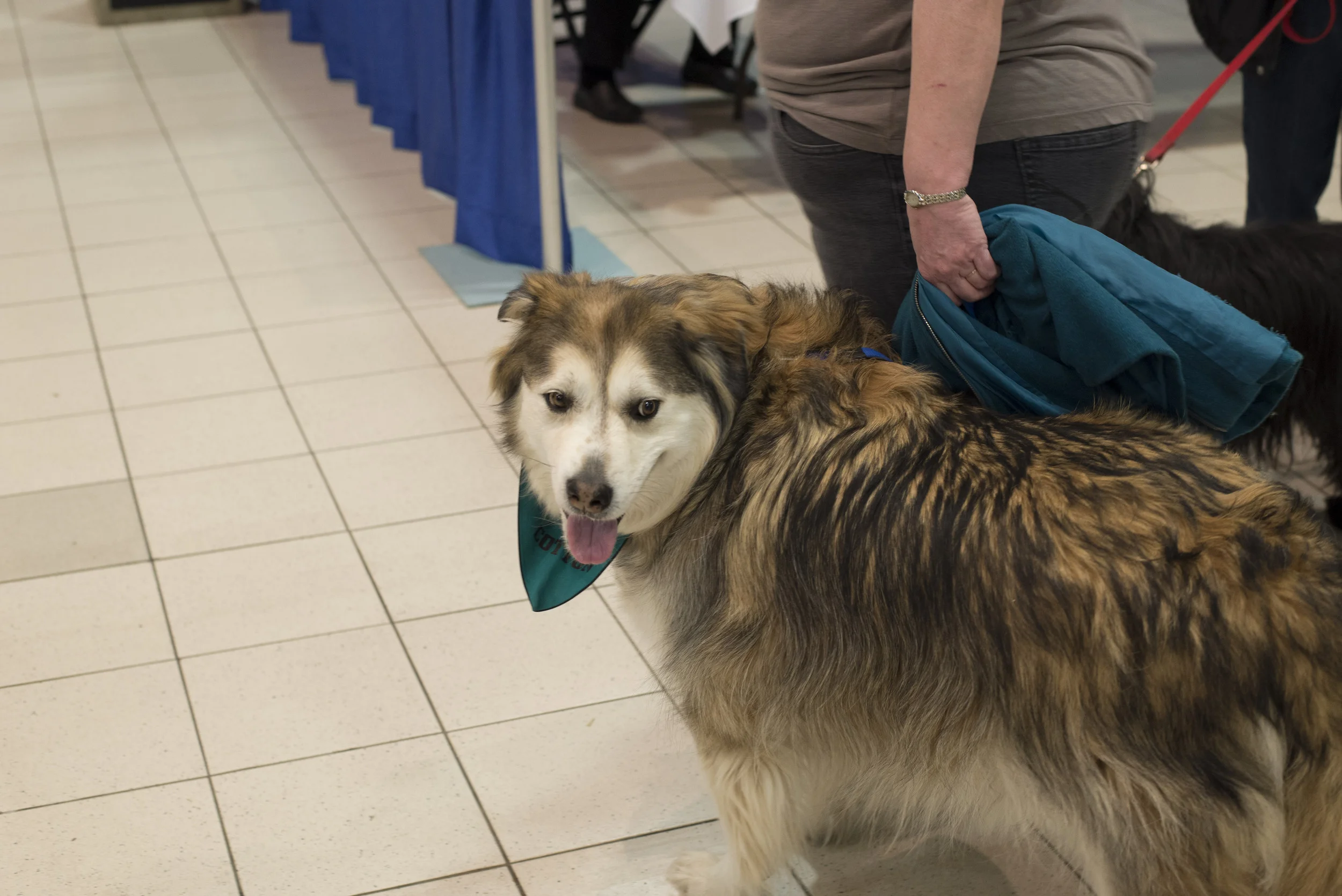 DSC_2032.jpg