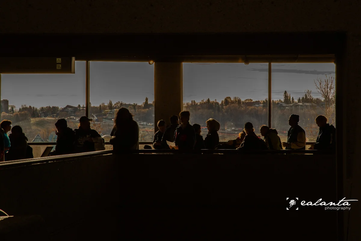 backlit photo of reg line.JPG