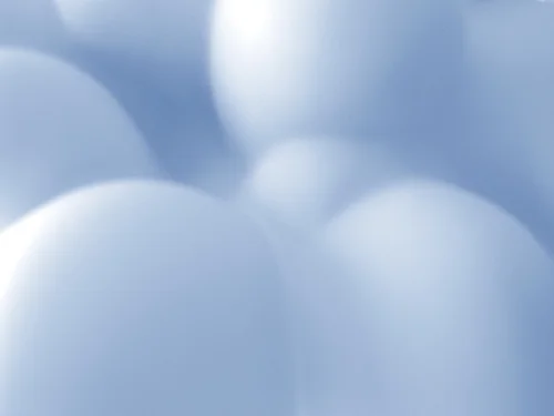 BLUEBERRY PHOTO