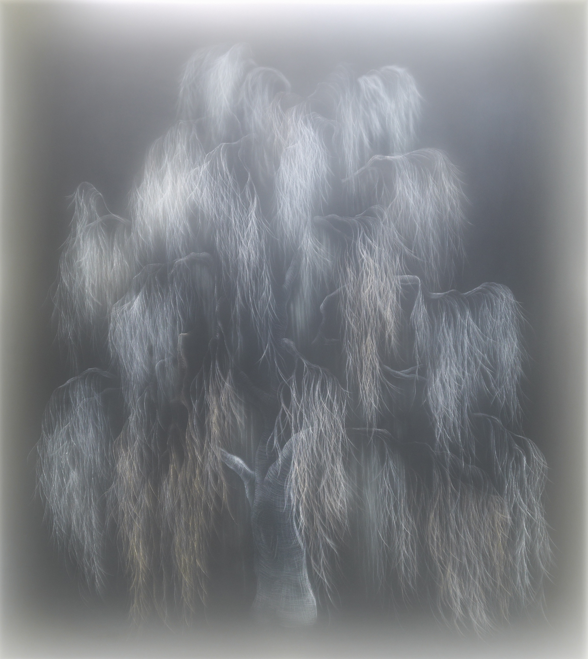 WEEPING WILLOW