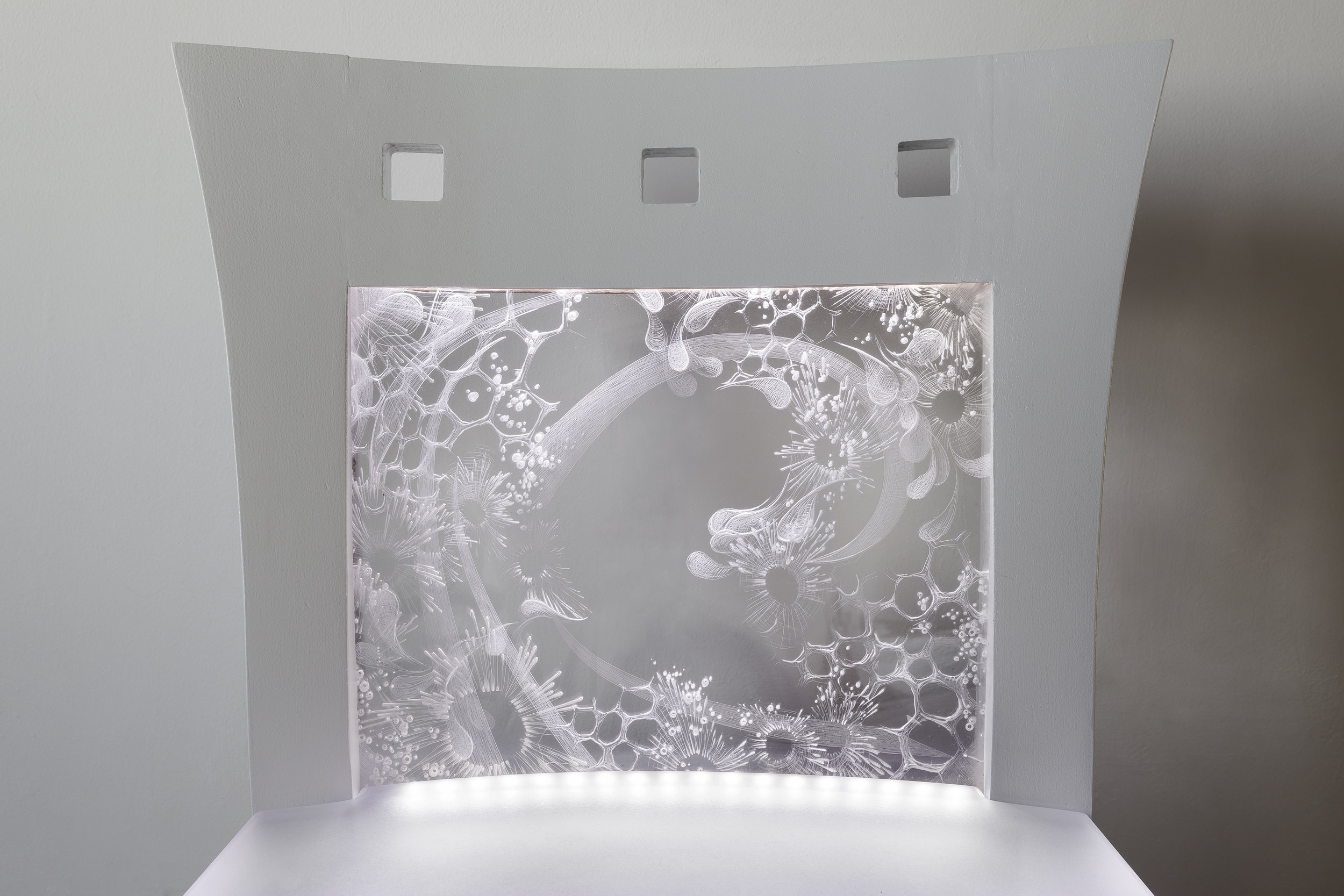 THROUGH THE LOOKING GLASS - close up